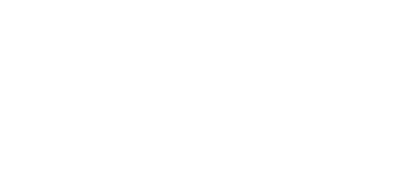 泰乐玛制动 TLM AUTO 标志